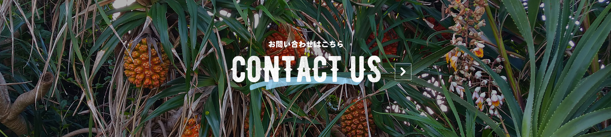 bnr_contact_off